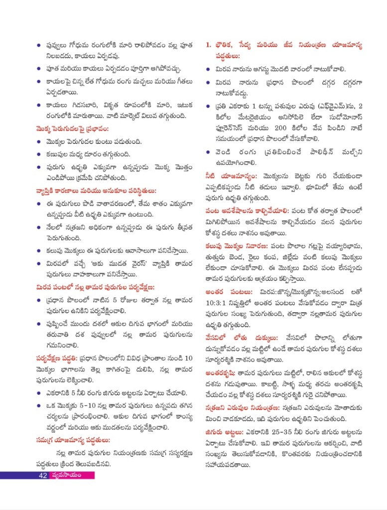 మిరపలో నల్ల తామర పురుగుల సమగ్ర యాజమాన్యం - Page 2: Symptoms, damage patterns and monitoring methods