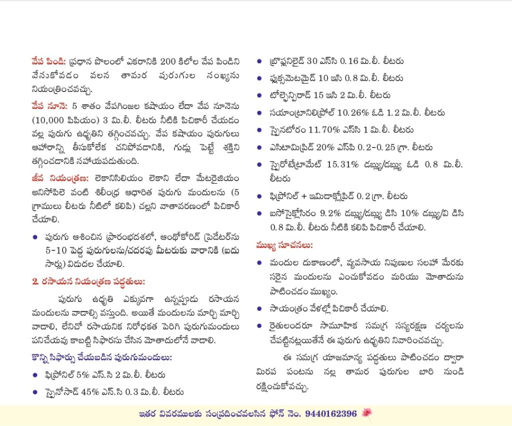 మిరపలో నల్ల తామర పురుగుల సమగ్ర యాజమాన్యం - Page 3: Chemical control measures and recommended pesticides